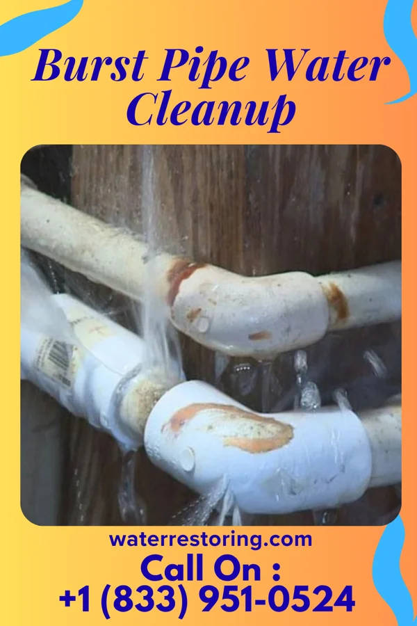 Burst Pipe Water Cleanup in Quakertown, PA