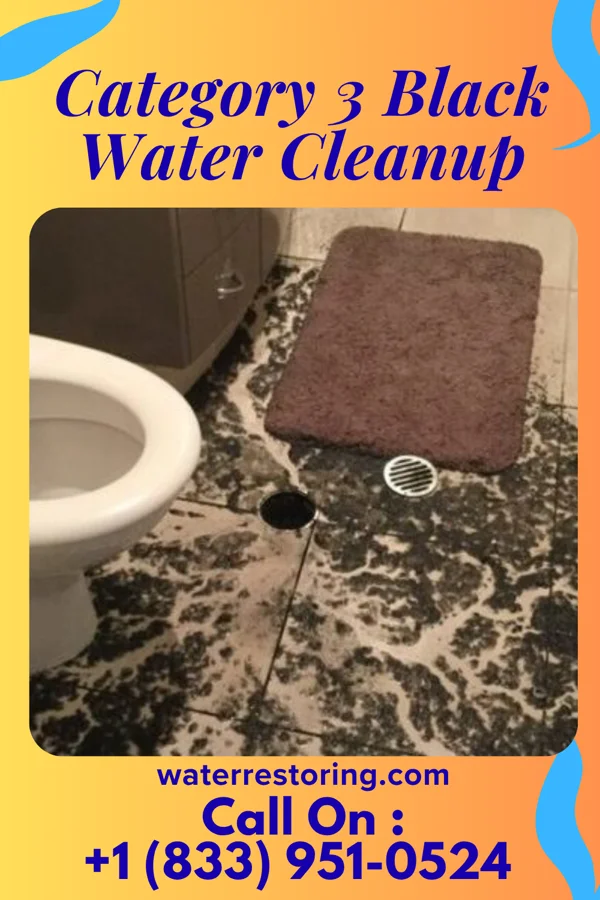 Category 3 Black Water Cleanup in Quakertown, PA
