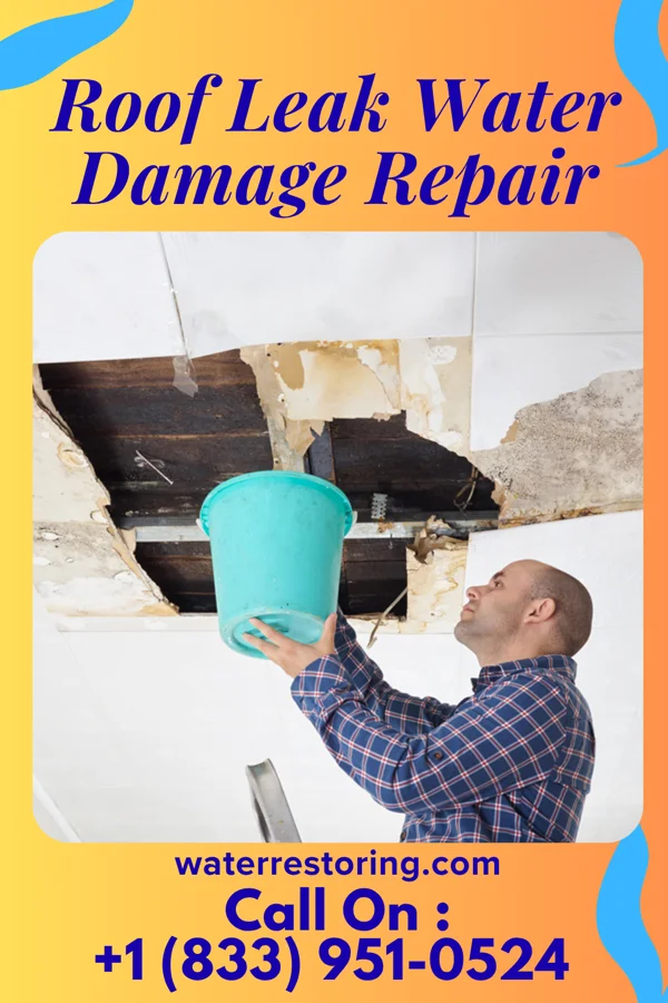 Roof Leak Water Damage Repair in Quakertown, PA