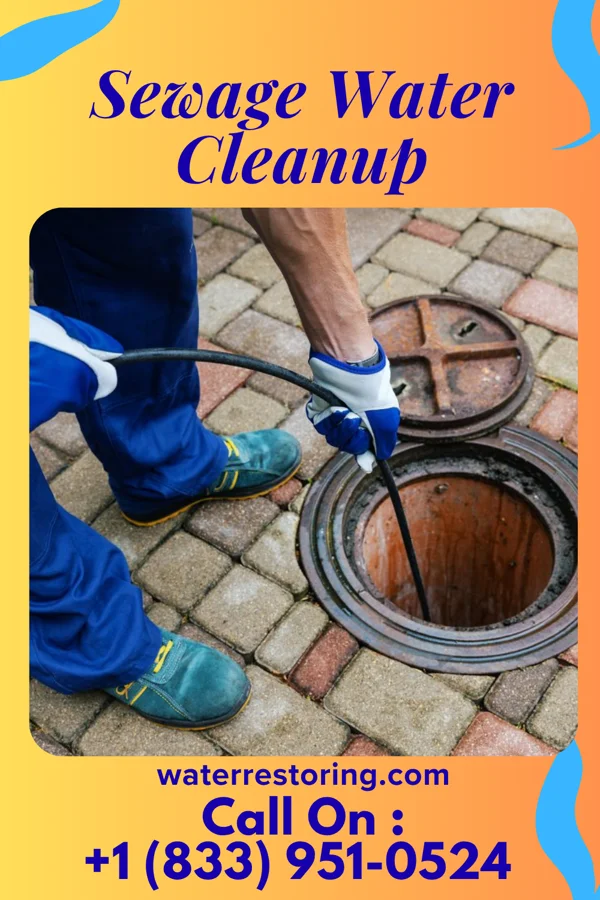 Sewage Water Cleanup in Quakertown, PA