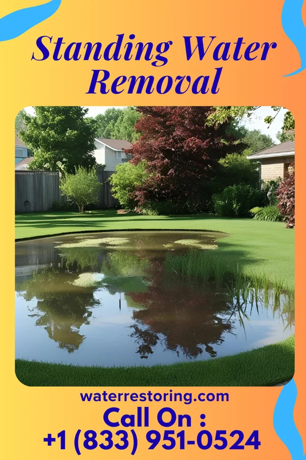 Standing Water Removal in Quakertown, PA